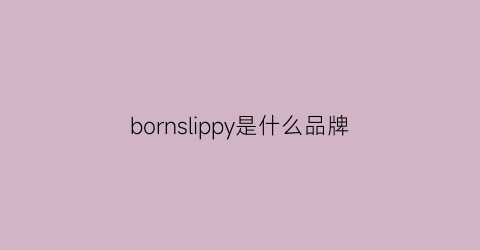 bornslippy是什么品牌(bornchamps是什么牌子贵吗)