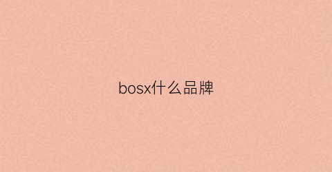 bosx什么品牌(bosco是什么品牌)