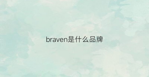 braven是什么品牌(bravesoul是什么牌子)