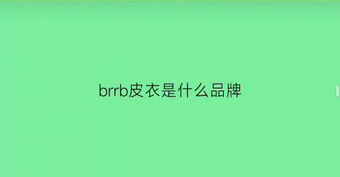 brrb皮衣是什么品牌(braunbuffel皮衣)