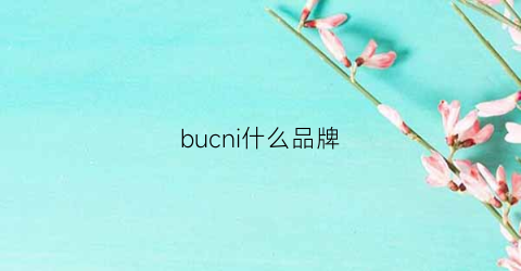 bucni什么品牌(bulchni是什么牌子)