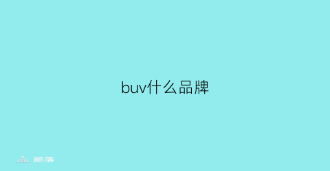 buv什么品牌(buco什么牌子)