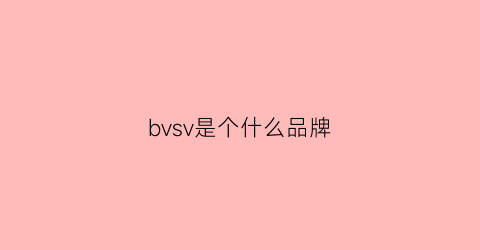 bvsv是个什么品牌