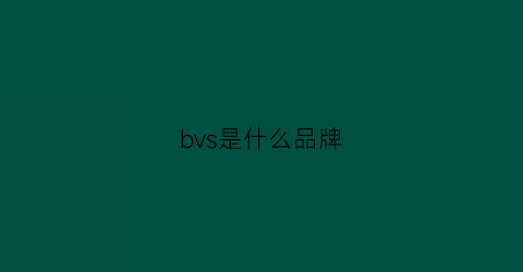 bvs是什么品牌(bjv是什么品牌)