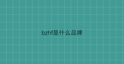 bzhf是什么品牌(bf是哪个品牌的缩写)