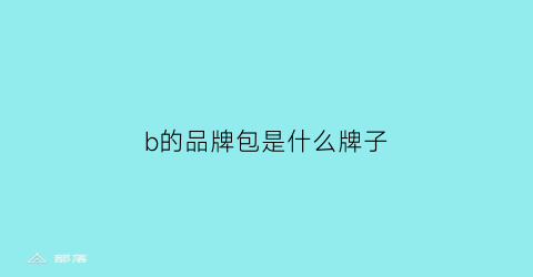 b的品牌包是什么牌子