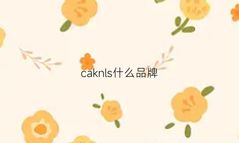 caknls什么品牌(cahivcmkloiean是什么牌子)