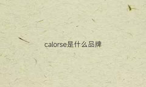 calorse是什么品牌(calories什么意思)