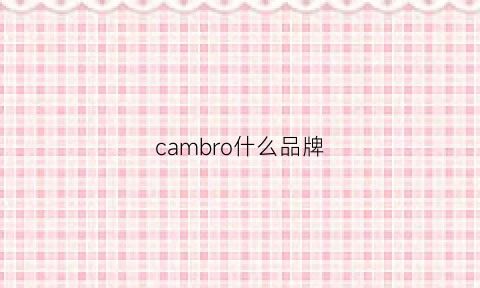 cambro什么品牌(camhipro是什么品牌)