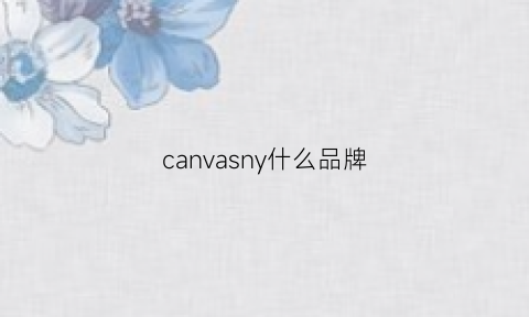 canvasny什么品牌(cavanacanvas是啥牌子)