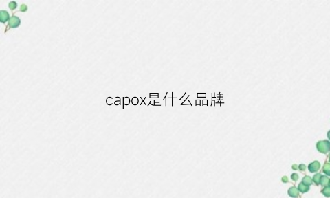 capox是什么品牌(capo是什么牌子)