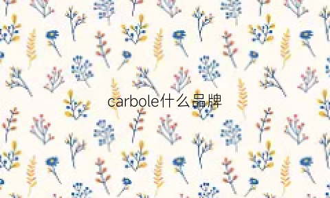 carbole什么品牌(carbone是什么牌子)