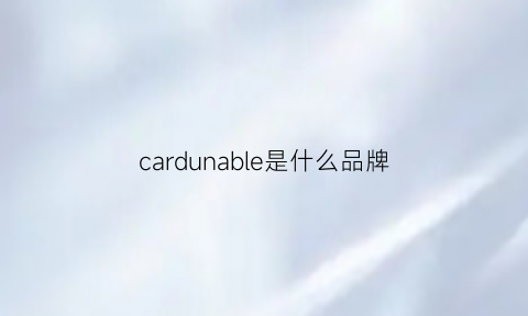 cardunable是什么品牌(cardin是什么牌子)