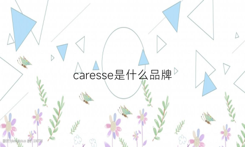 caresse是什么品牌(caressa是什么品牌)