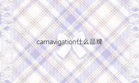 carnavigation什么品牌(carnival是什么牌子)