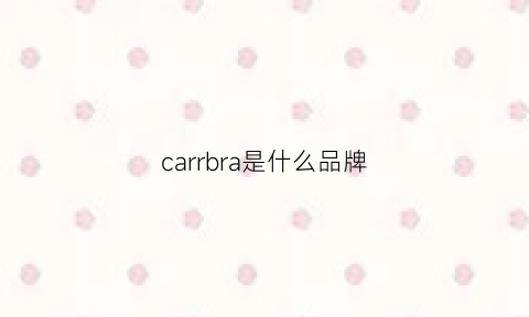 carrbra是什么品牌(carry是什么品牌)