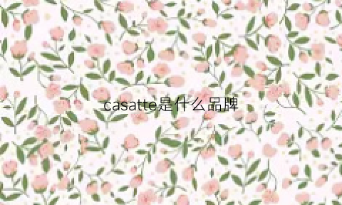 casatte是什么品牌