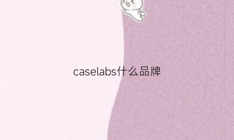 caselabs什么品牌(caseycasey品牌)