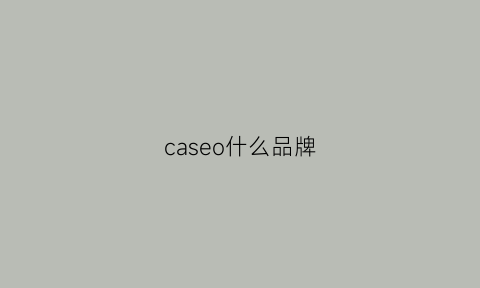 caseo什么品牌