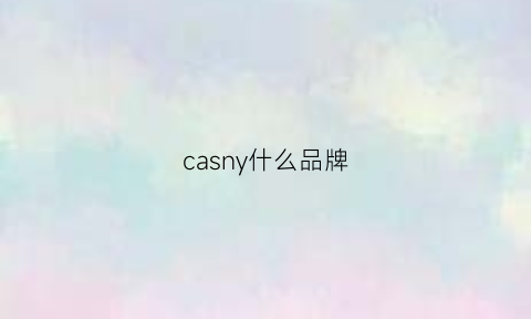 casny什么品牌(casualseries是什么牌子)