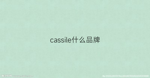 cassile什么品牌(cassina是什么牌子)