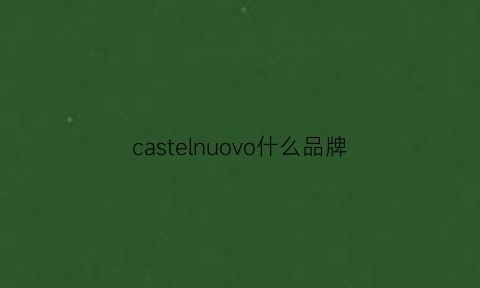 castelnuovo什么品牌(casual是哪个国家品牌)