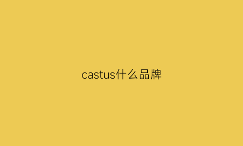 castus什么品牌(cassiey是什么牌子)