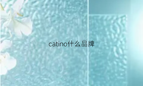 catino什么品牌(catens品牌)