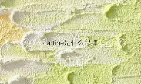 cattine是什么品牌