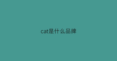 cat是什么品牌