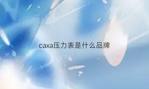 caxa压力表是什么品牌(压力表cad符号)