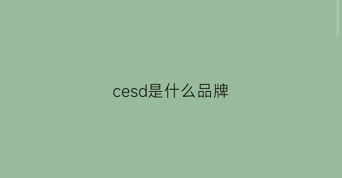 cesd是什么品牌(cesdesign是什么车)