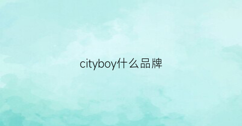 cityboy什么品牌(cityboy单品)