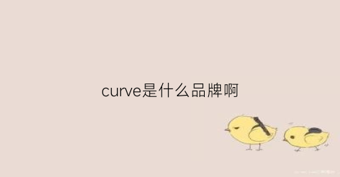 curve是什么品牌啊(curve中文什么意思)