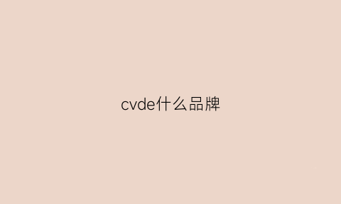 cvde什么品牌(cvdio是什么品牌)