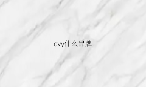 cvy什么品牌(cv是什么品牌的衣服)