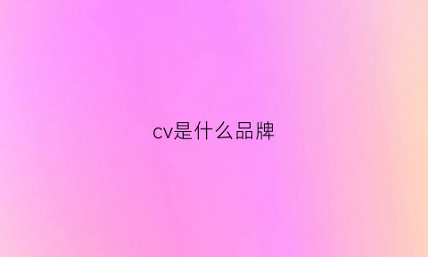 cv是什么品牌(cvx是什么牌子)