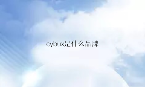 cybux是什么品牌(cyc是什么牌子)