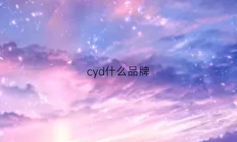 cyd什么品牌