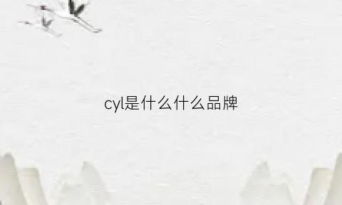 cyl是什么什么品牌(cyc是什么牌子)