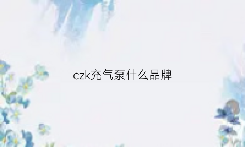 czk充气泵什么品牌(充气泵牌子)