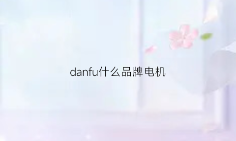 danfu什么品牌电机