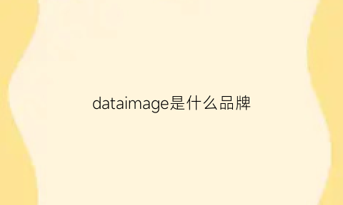 dataimage是什么品牌