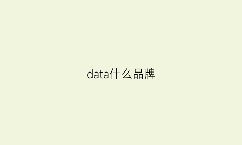 data什么品牌