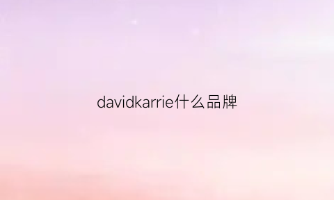 davidkarrie什么品牌(davidhicks是什么牌子)