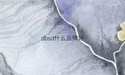 dbsd什么品牌好(db是哪个品牌)