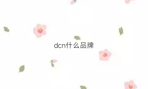 dcn什么品牌(dcn是什么牌子)