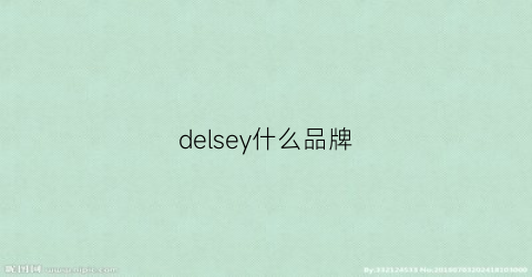 delsey什么品牌(delsey正品多少钱)