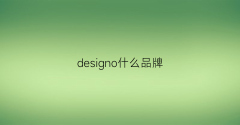 designo什么品牌(design是啥品牌)