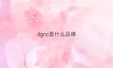 dgnc是什么品牌(dgc是什么牌子)